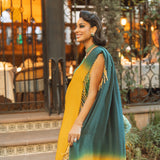 Jessel Taank in Aly Blouse & Beaded ombre Godet Sari
