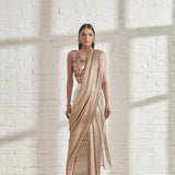Metallic 2.0 Sari with APS Blouse