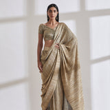 Metallic 2.0 Sari with Milkyway Nikki Blouse