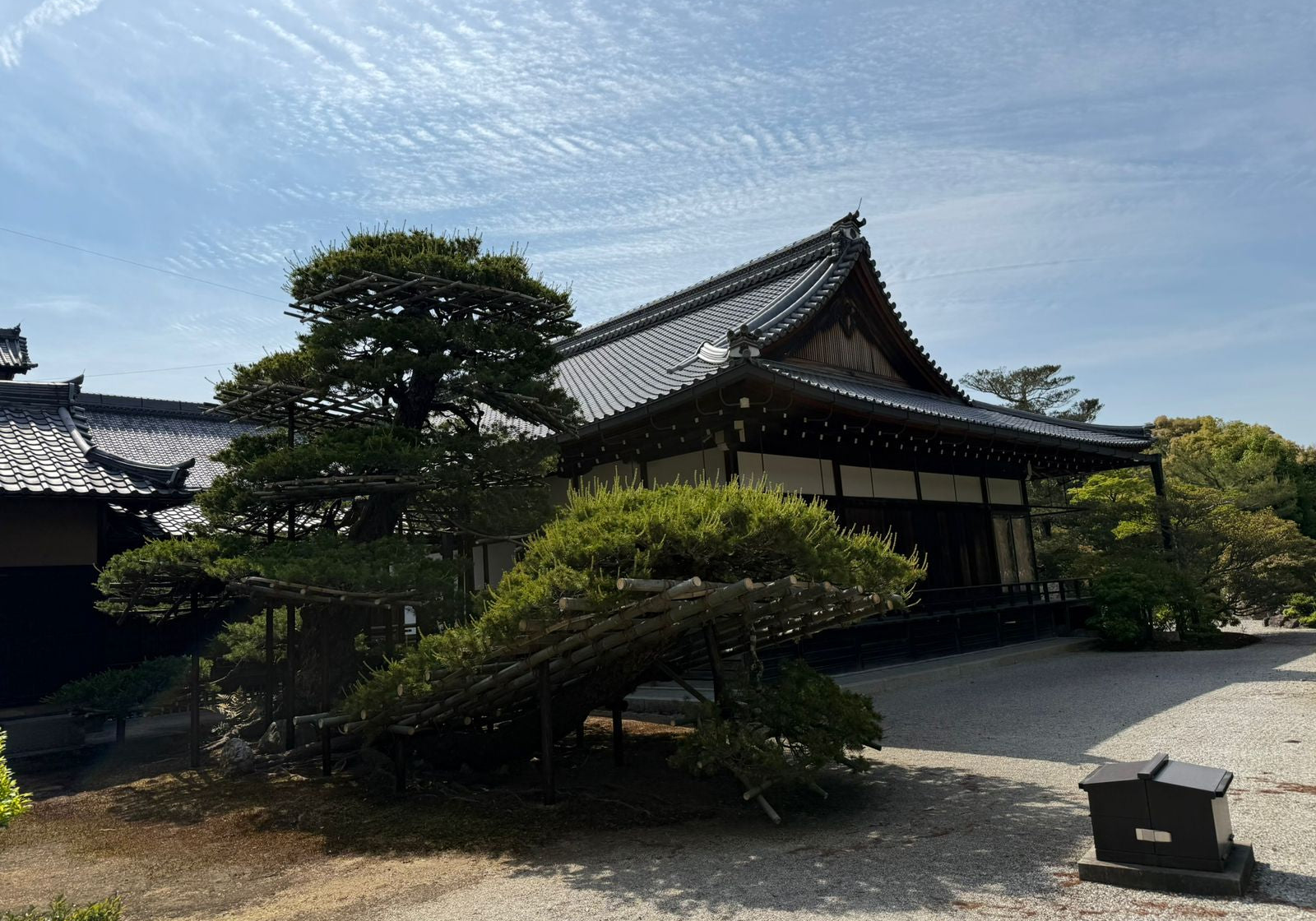 Letter to Japan